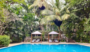 A serene swimming pool is surrounded by lush green trees and plants, offering a tropical ambiance. There are two lounge chairs under white canopies parallel to each other at the far end of the pool, enhancing the relaxing vibe. The area is richly adorned with tall palm trees and dense foliage.