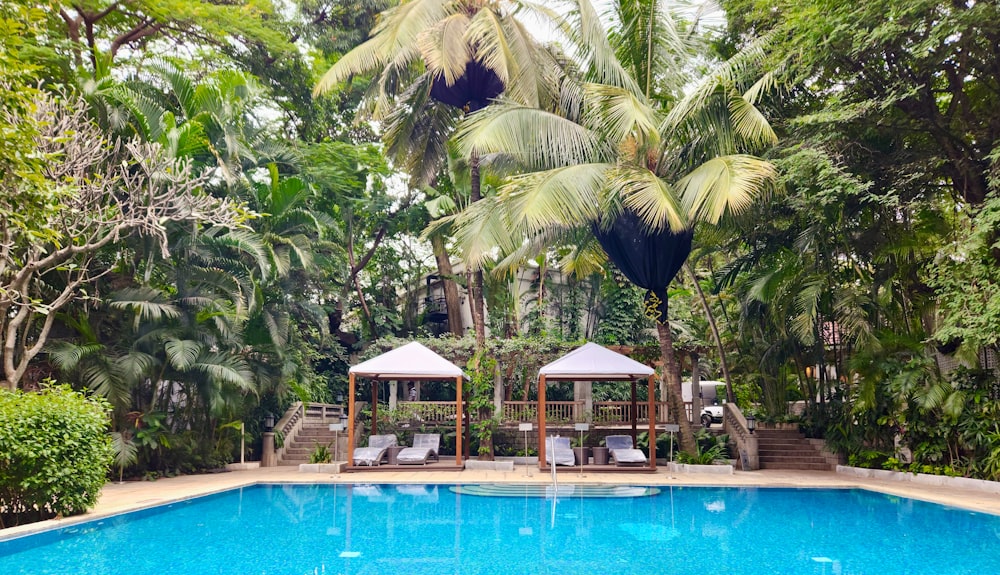 a swimming pool surrounded by trees and chairs