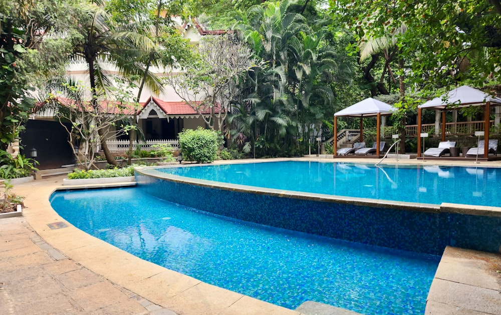 a large swimming pool surrounded by lush green trees