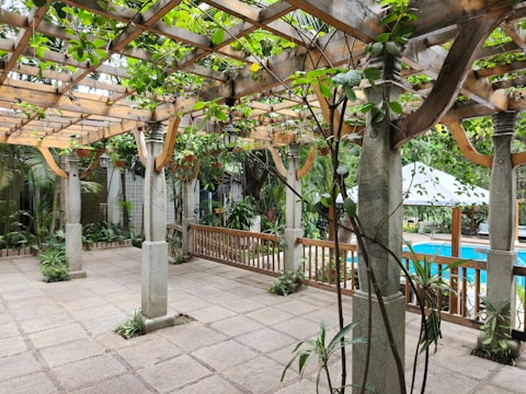A serene outdoor space featuring a pergola with wooden beams and leafy vines overhead. Stone pillars support the structure, and there are various potted and planted greenery throughout the area. In the background, a blue swimming pool is partially visible next to a patio area with a white canopy.