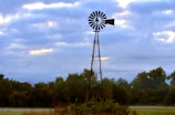 A rustic windmill standing tall beside lush green vegetable beds on the mini farm.
