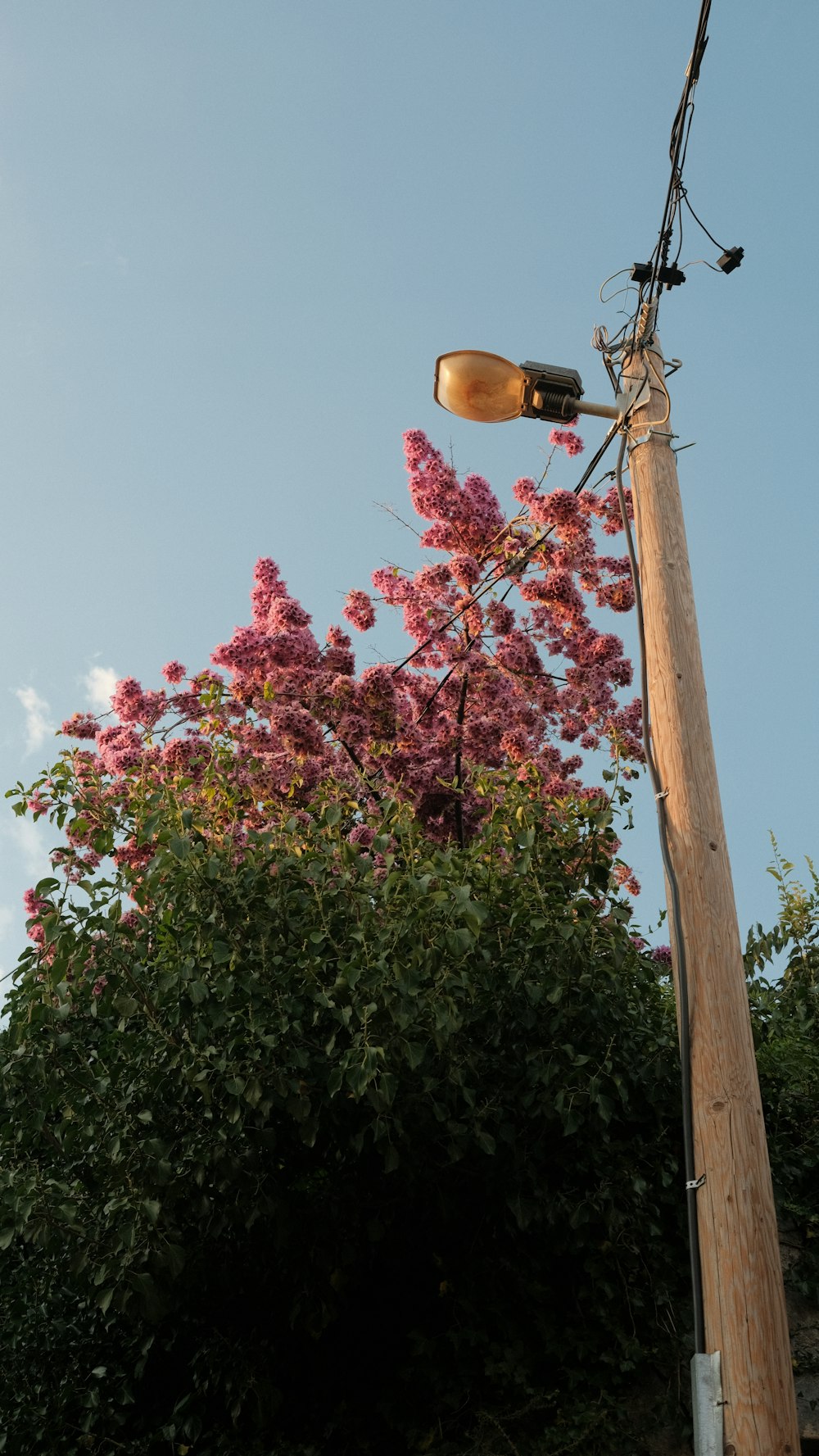 um poste telefônico com uma luz de rua em cima dele