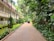 A peaceful walkway flanked by lush tropical plants and trees leads towards a two-story building with a red-tiled roof and white railings. A small vehicle, possibly a golf cart, is parked along the path, with a person standing nearby. The setting conveys a serene, resort-like environment with well-maintained greenery and a brick pathway.