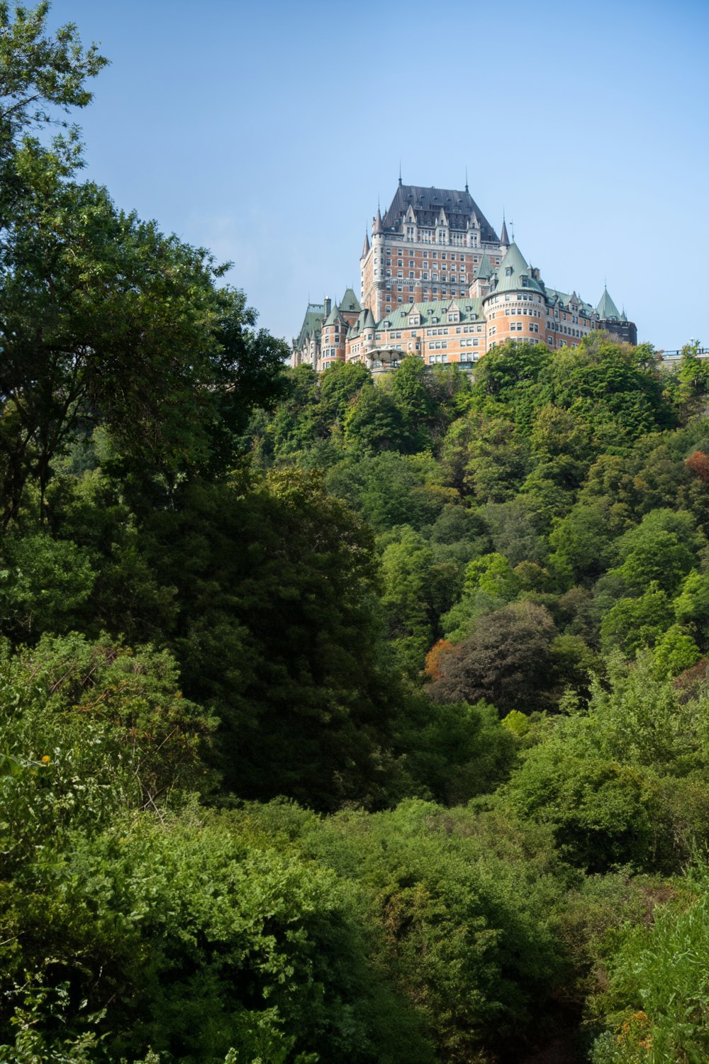 a castle on top of a hill surrounded by trees