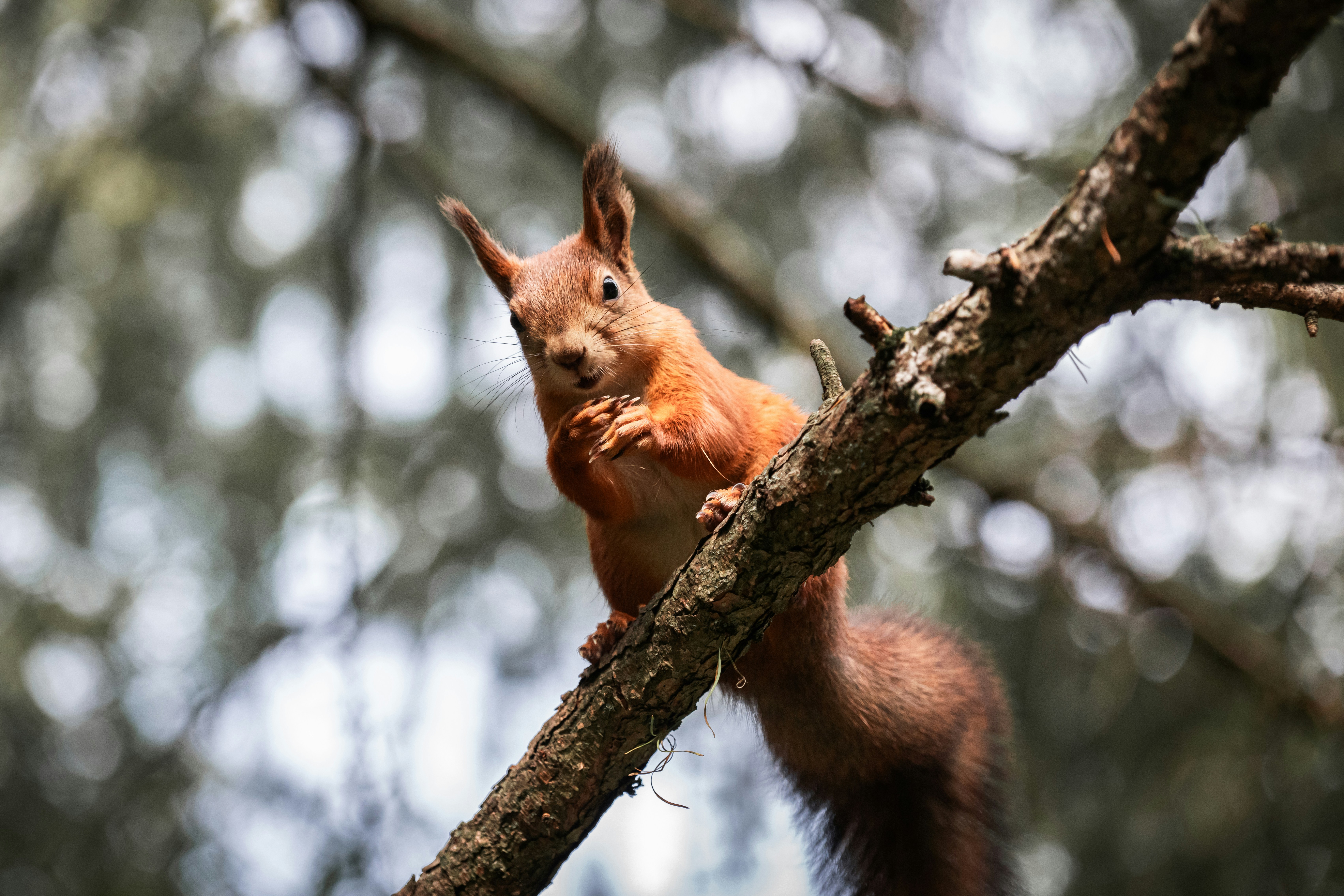 Photo by andreystrizhkov