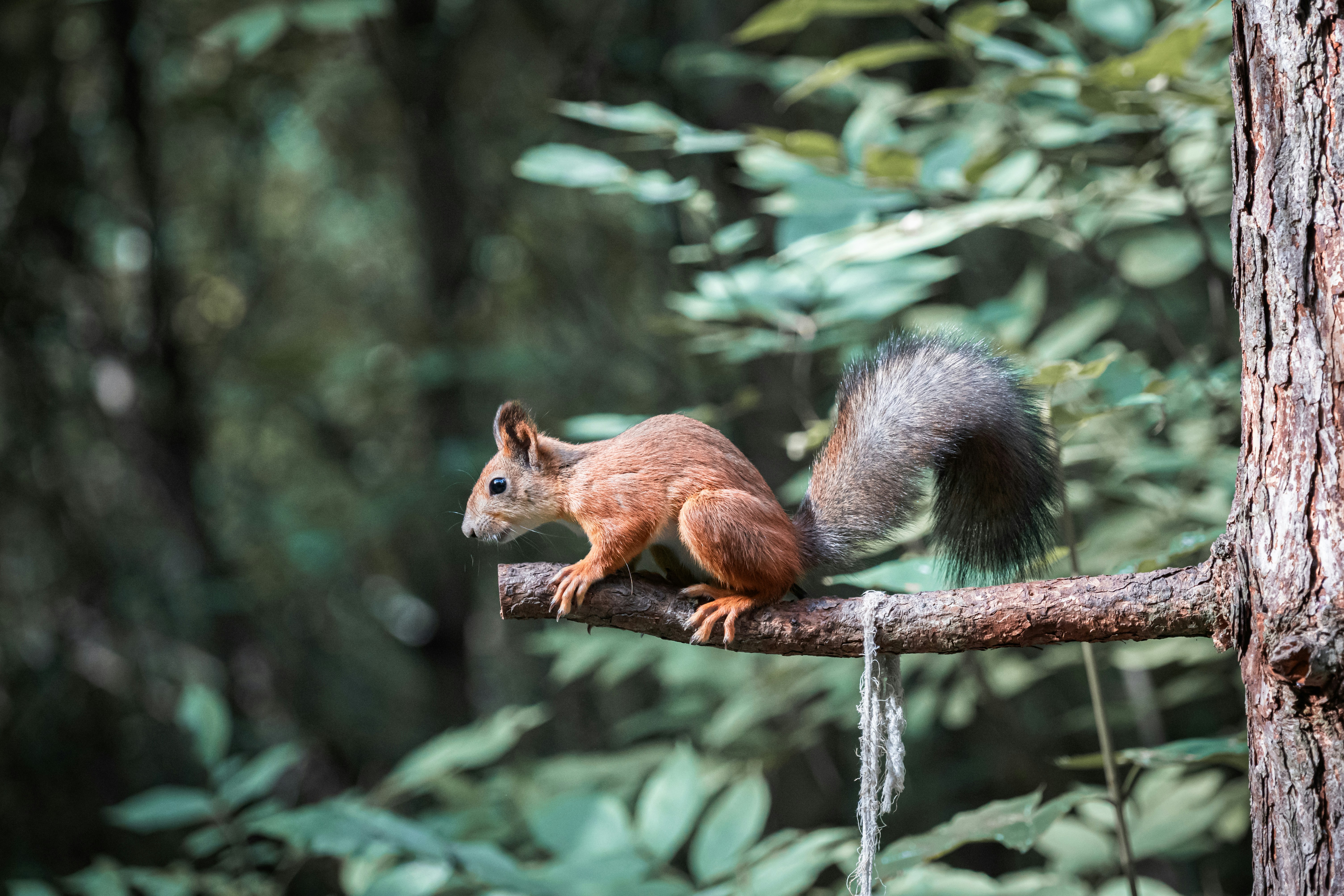 Photo by andreystrizhkov