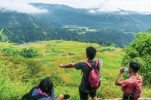 Tourists enjoying a scenic view of the Tegalalang rice terraces in Bali