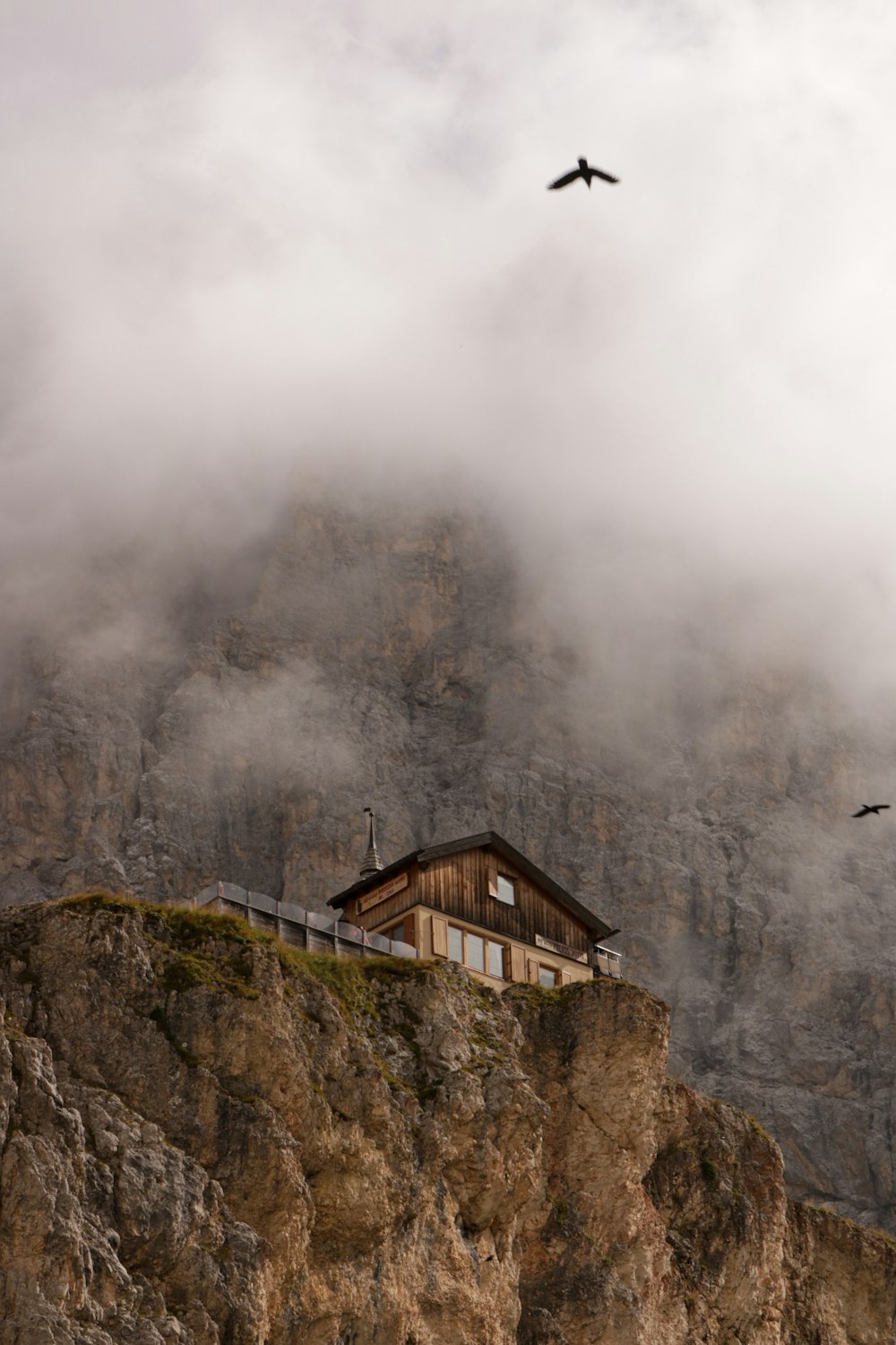 a bird flying over a house on a cliff