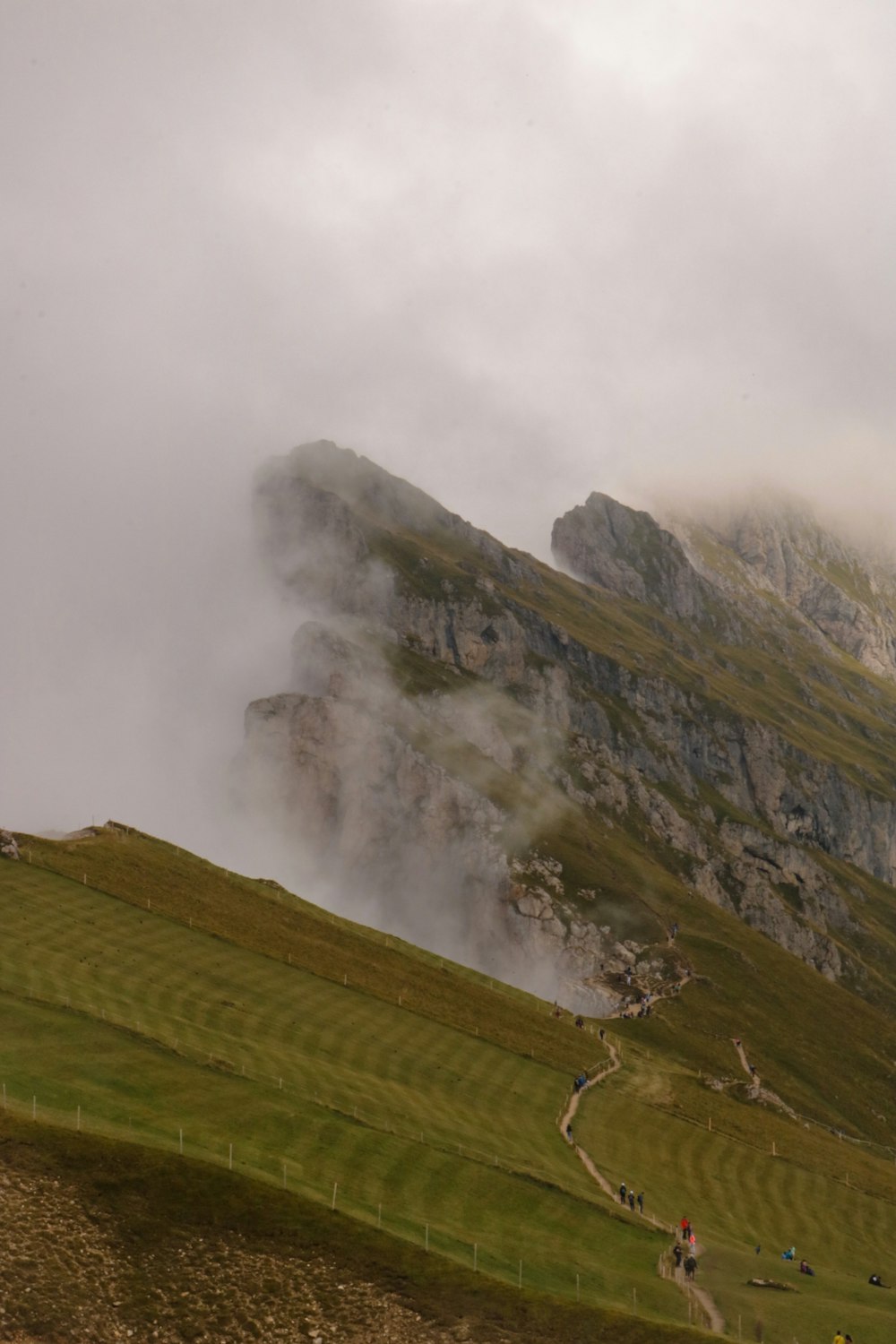 a group of people walking up a grassy hill