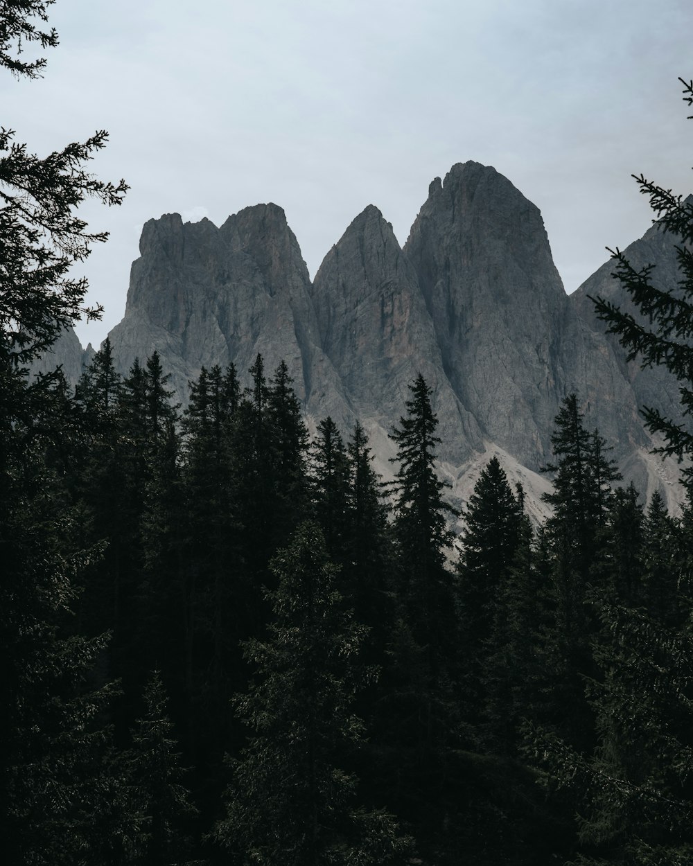 a group of tall mountains surrounded by trees