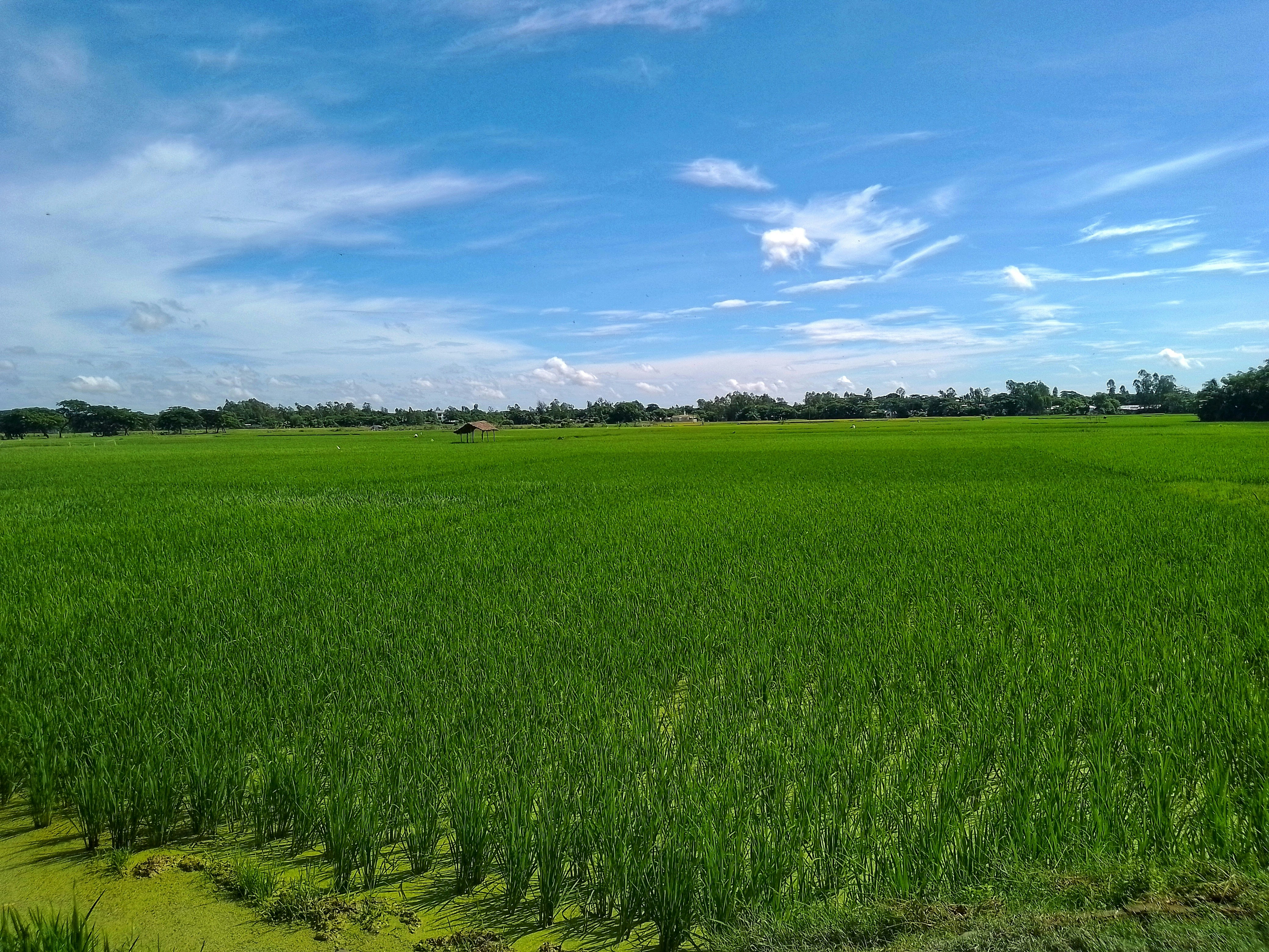 Photo by rahatxpress