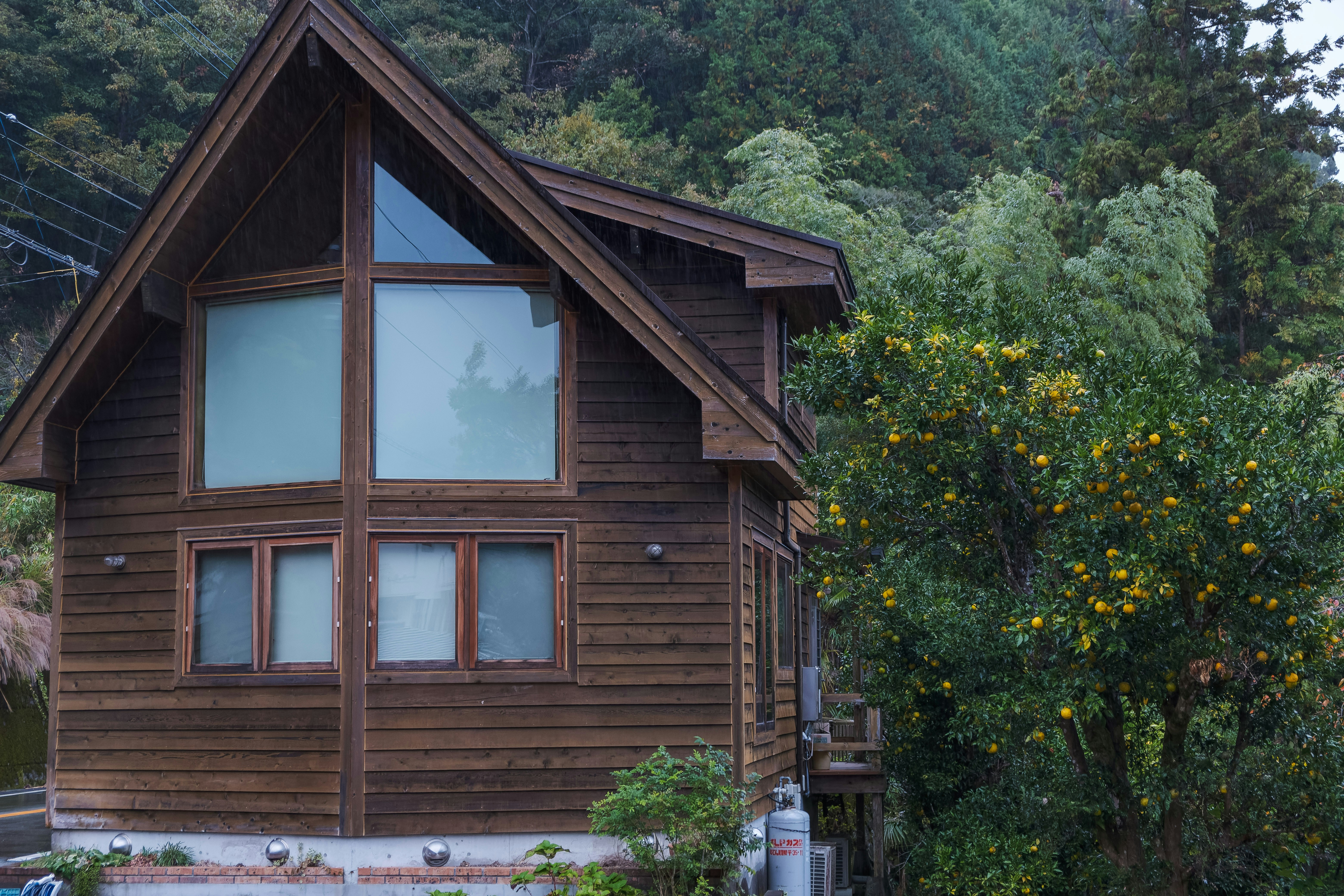 Photo by driftingislander