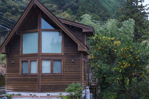 A wooden house with large triangular windows sits amidst a lush green forest. Next to the house is a tree laden with yellow fruits, possibly oranges or lemons. The structure is rustic, with wood paneling and a gabled roof, contrasting with the dense foliage surrounding it.