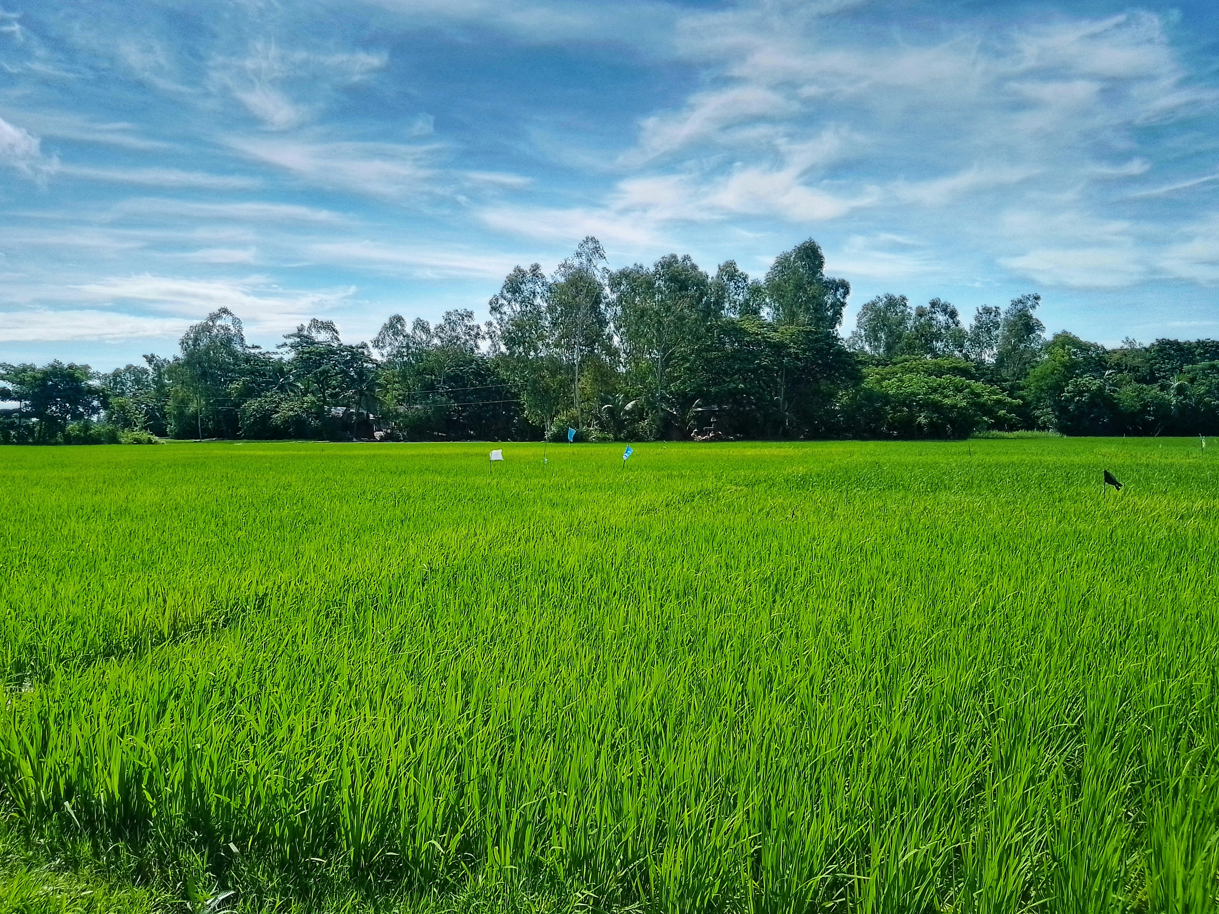 Photo by rahatxpress