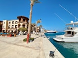 A waterfront scene with a modern marina featuring several white yachts moored along the dock. The clear blue waters contrast with the bright sky. Nearby, there's a row of palm trees lining a promenade with beige and brown buildings, including a cafe on the left.