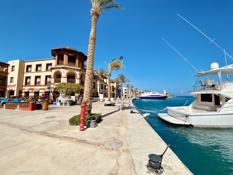 A waterfront scene with a modern marina featuring several white yachts moored along the dock. The clear blue waters contrast with the bright sky. Nearby, there's a row of palm trees lining a promenade with beige and brown buildings, including a cafe on the left.