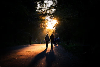 A diverse group of people walking joyfully along a wooded path during golden hour.