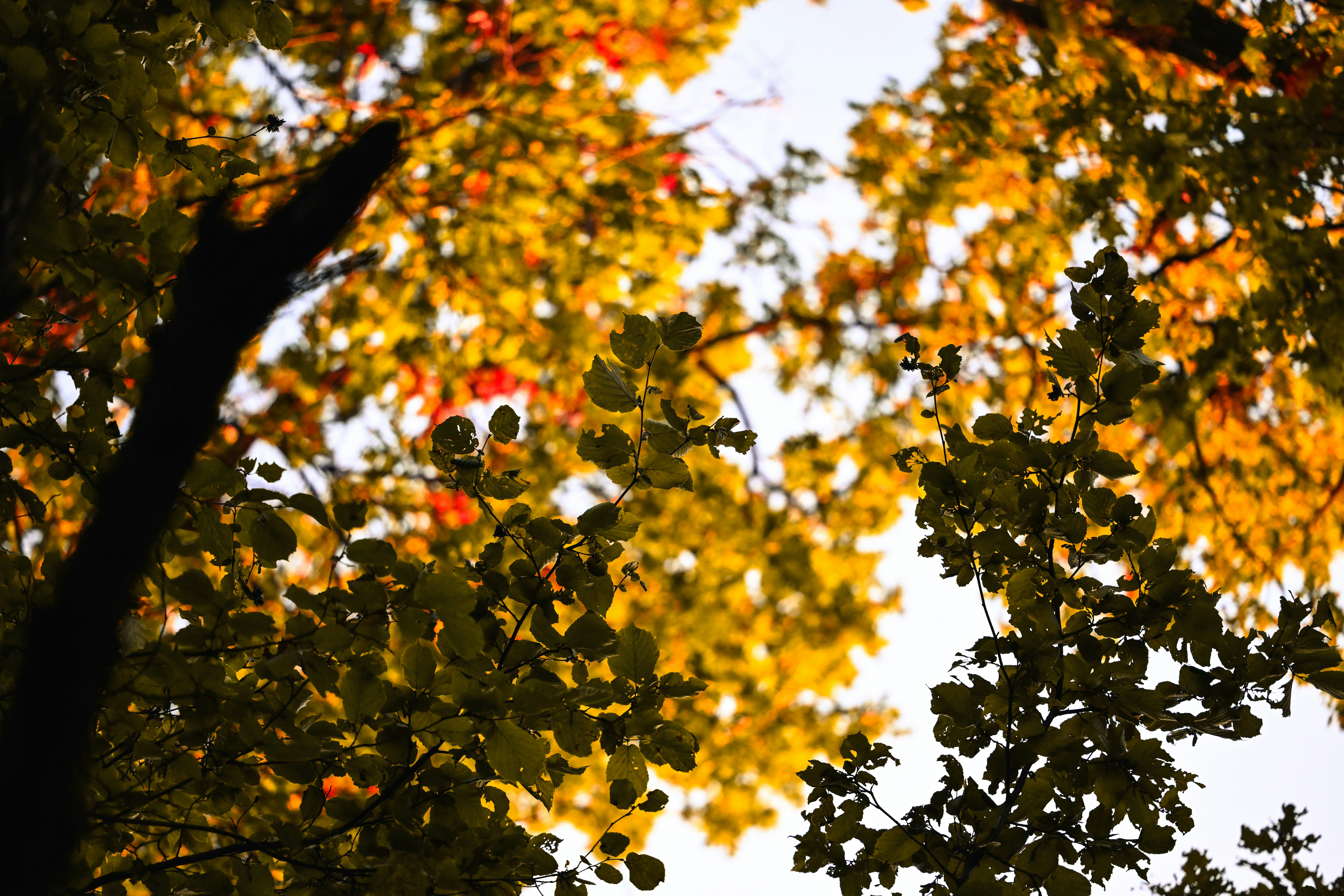 Photo by andreystrizhkov