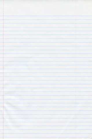 a piece of lined paper with red lines