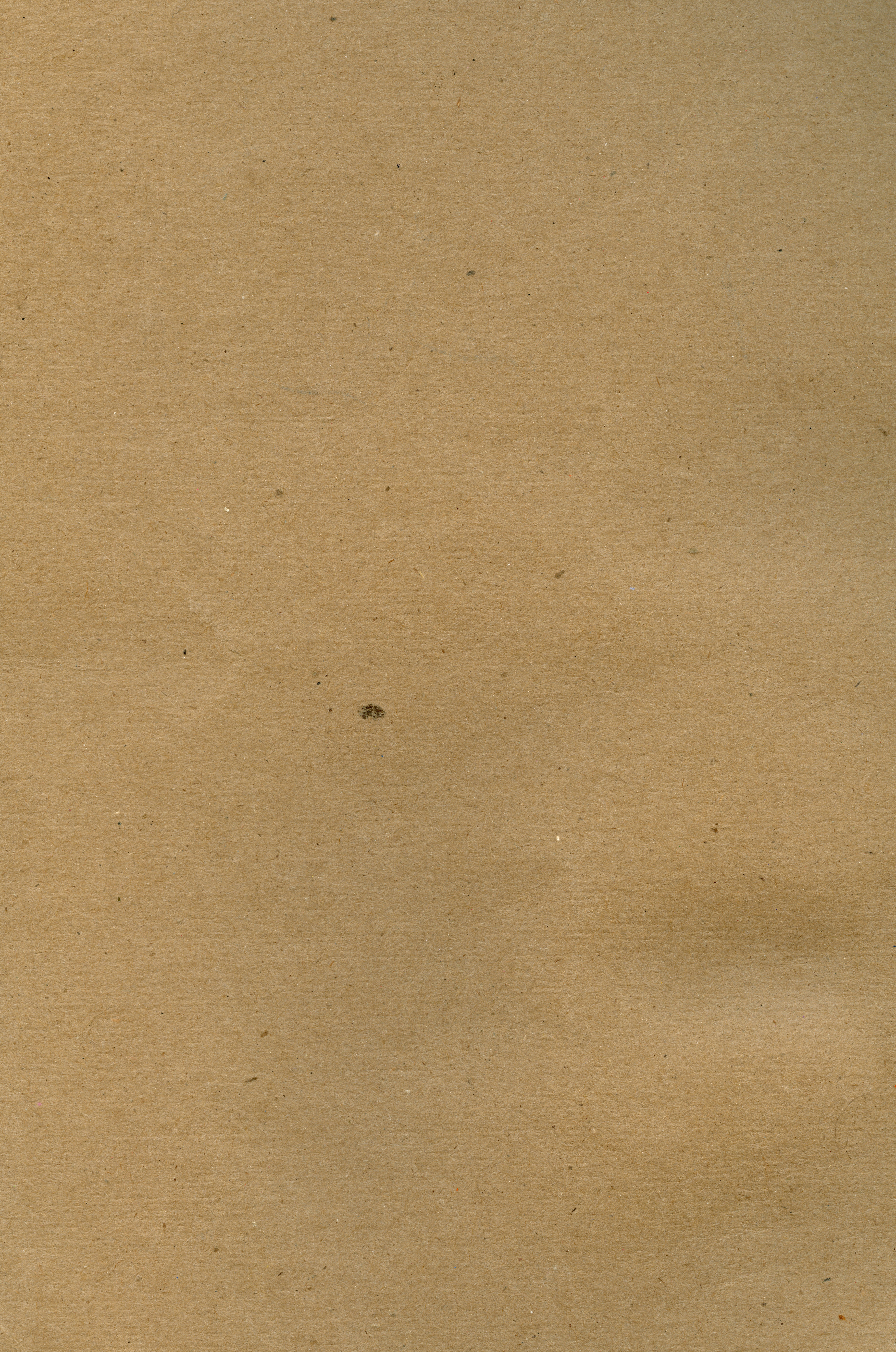 Photo by heathergreengreen