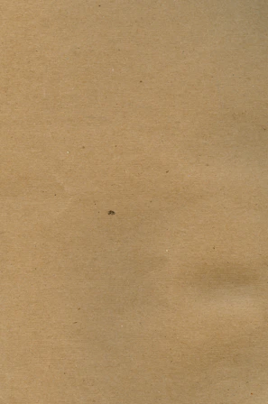 A single premium-looking cardboard plate with subtle texture details.