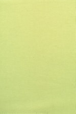A plain textile surface with a uniform light green color and visible stitching along the bottom edge.