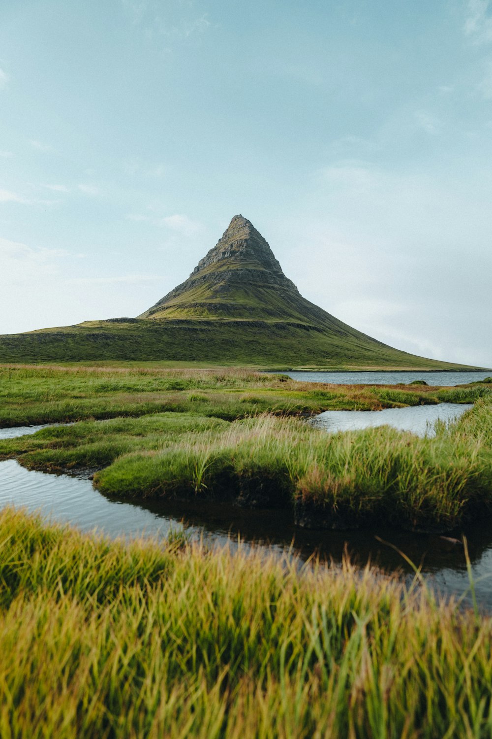 a grassy field with a mountain in the background