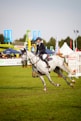 a person riding a horse in a field