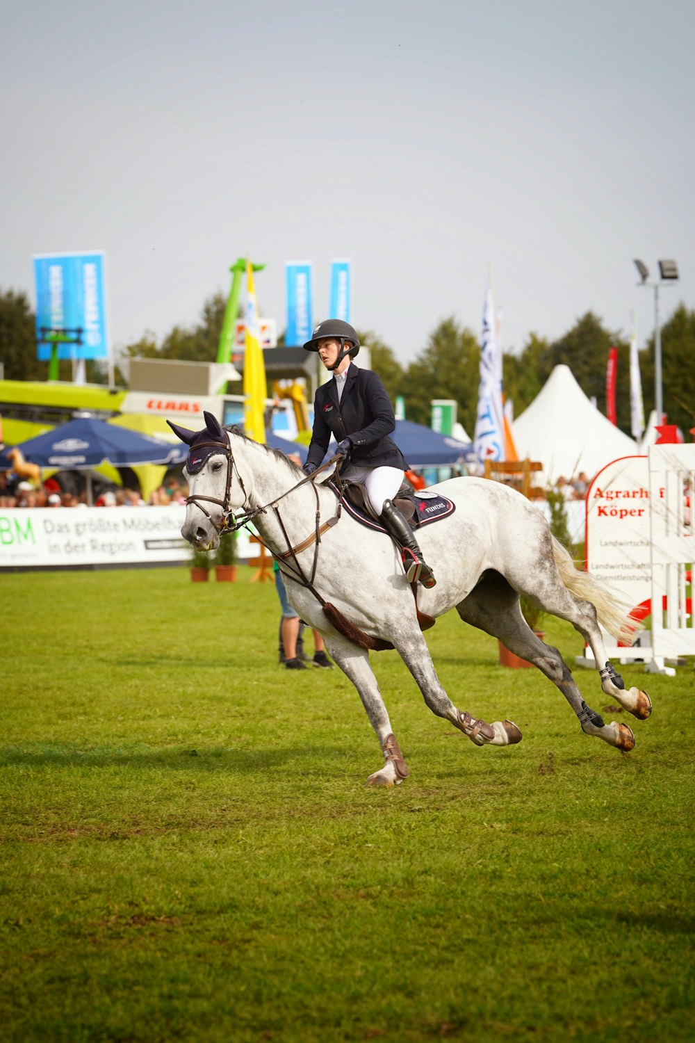 a person riding a horse in a field