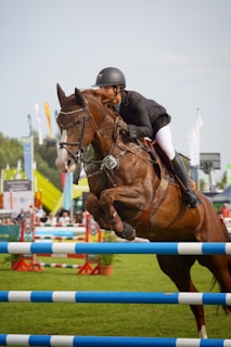 A rider in equestrian gear is jumping over a blue and white hurdle on a brown horse during an outdoor equestrian competition. The event is taking place in a grassy area with various banners, people, and structures visible in the background.