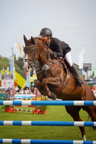 A rider in equestrian gear is jumping over a blue and white hurdle on a brown horse during an outdoor equestrian competition. The event is taking place in a grassy area with various banners, people, and structures visible in the background.