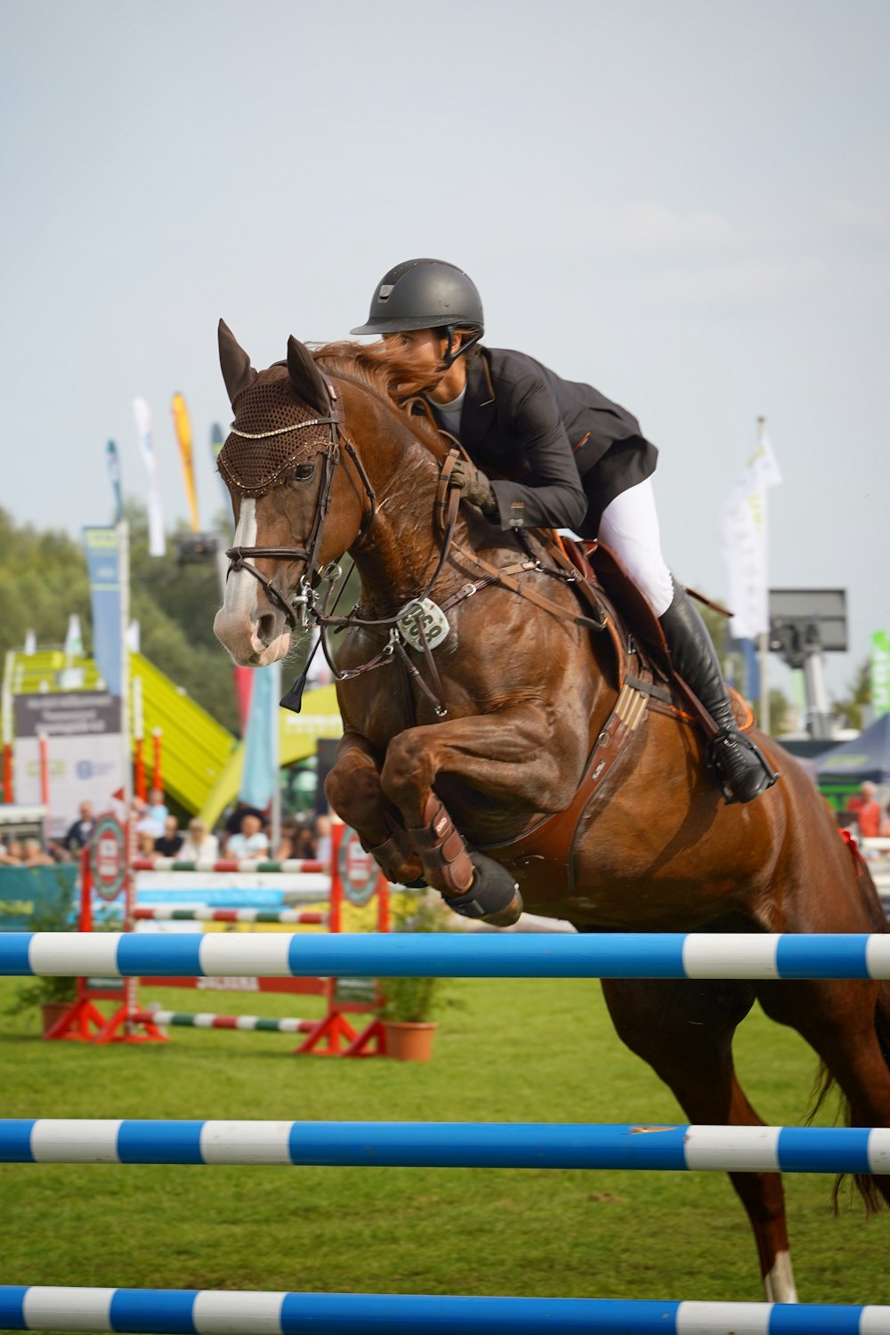 a person on a horse jumping over an obstacle