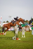 A horse and rider gracefully jump over an obstacle in an equestrian event. The rider is wearing equestrian attire, including a helmet, while the horse is adorned with a bridle and saddle. The background includes spectators, greenery, and colorful banners, suggesting a lively outdoor event.