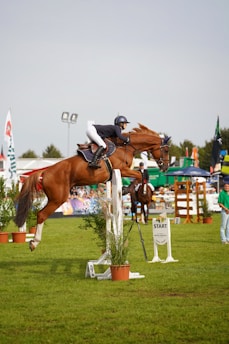 A horse and rider gracefully jump over an obstacle in an equestrian event. The rider is wearing equestrian attire, including a helmet, while the horse is adorned with a bridle and saddle. The background includes spectators, greenery, and colorful banners, suggesting a lively outdoor event.