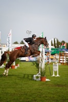 A horse with a rider is in mid-air, jumping over an obstacle in an outdoor equestrian event. The rider wears a helmet and formal riding attire. The setting includes a grassy field and various flags in the background, indicating a competitive environment.
