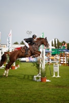 A horse with a rider is in mid-air, jumping over an obstacle in an outdoor equestrian event. The rider wears a helmet and formal riding attire. The setting includes a grassy field and various flags in the background, indicating a competitive environment.