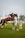 A horse with a rider is in mid-air, jumping over an obstacle in an outdoor equestrian event. The rider wears a helmet and formal riding attire. The setting includes a grassy field and various flags in the background, indicating a competitive environment.