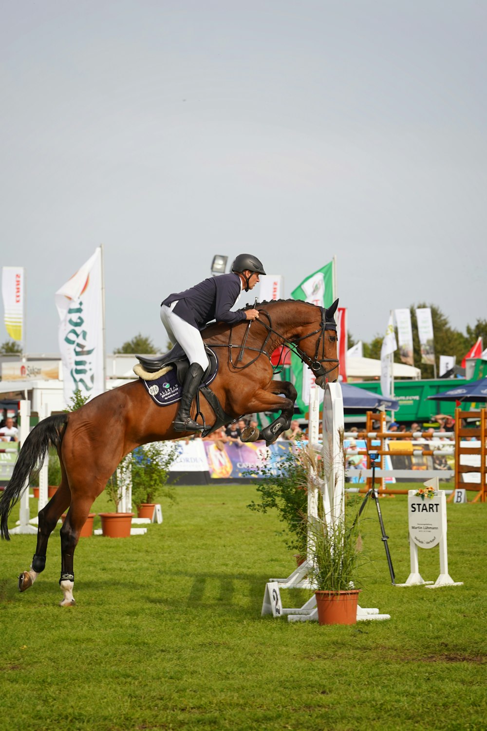 a person jumping a horse over an obstacle