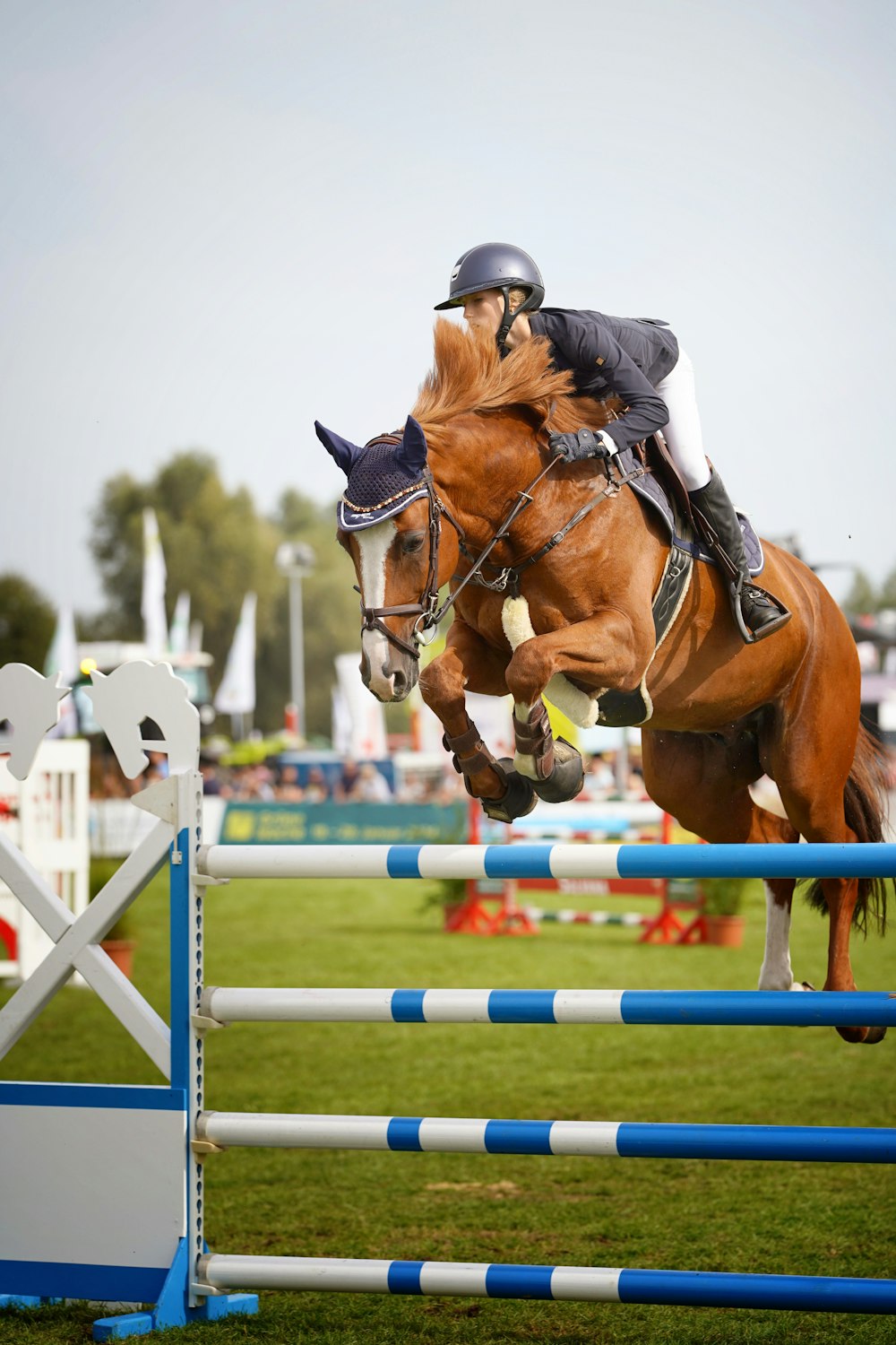 a person jumping a horse over an obstacle