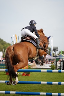 a person jumping a horse over an obstacle