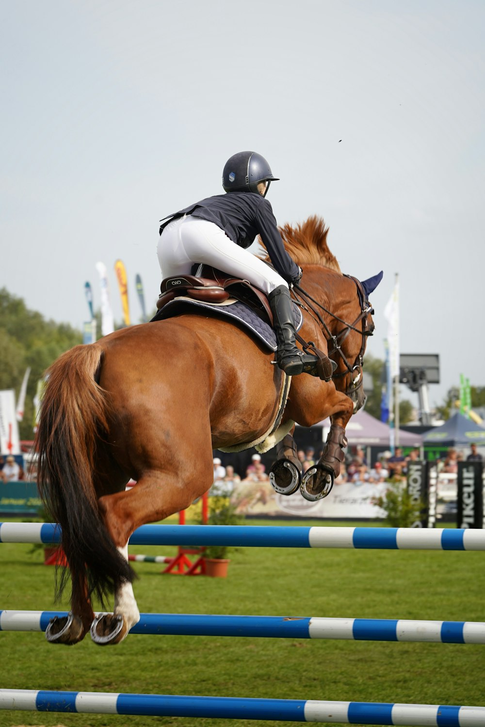 a person jumping a horse over an obstacle