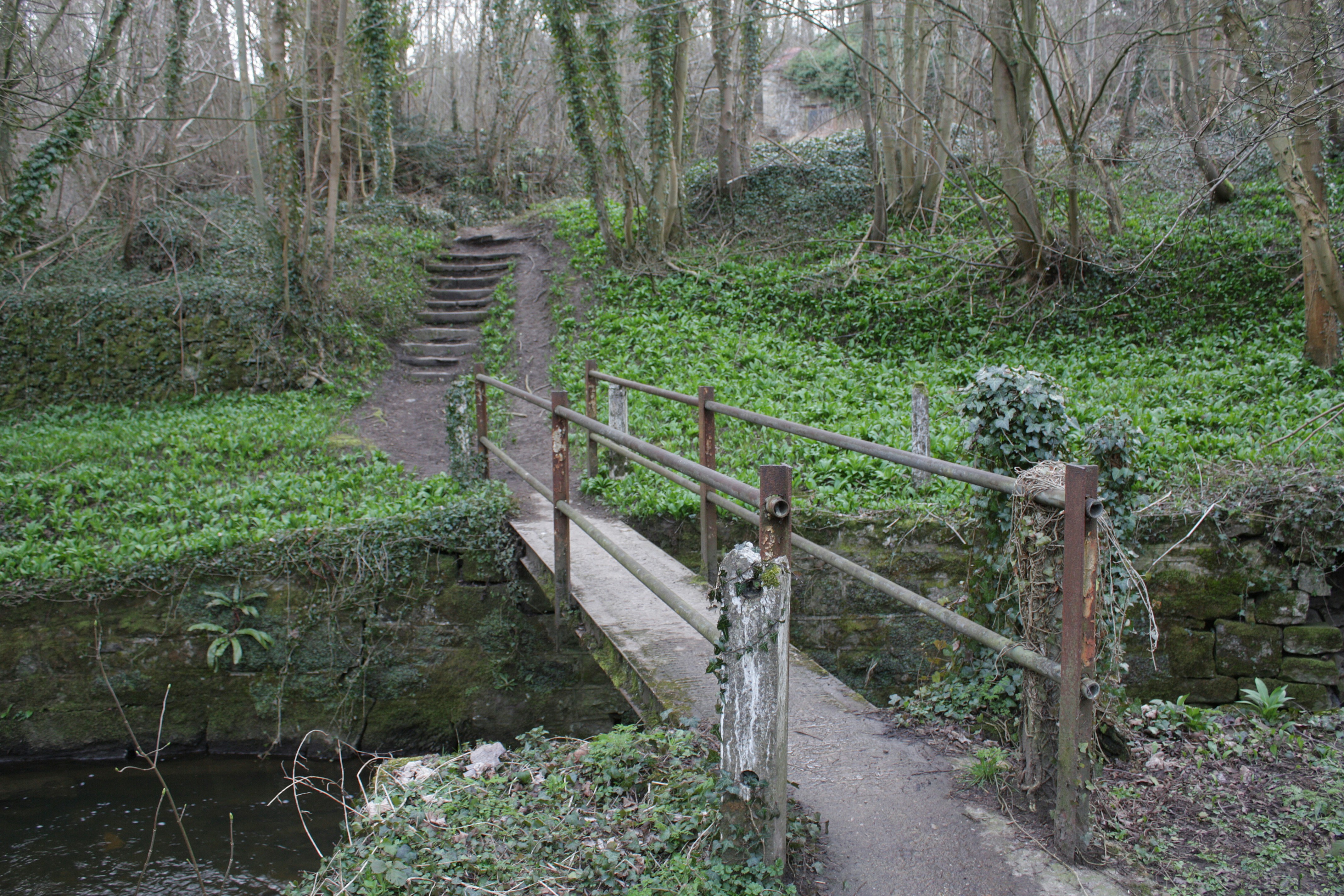 森の中の小川に架かる木製の橋の写真 – Unsplashの冬の無料画像