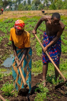 Two people are farming in a field, using hoes to work the soil. They are wearing colorful clothing, with one person in an orange shirt and patterned skirt, and the other in a patterned wrap. A lush green landscape with trees is visible in the background.