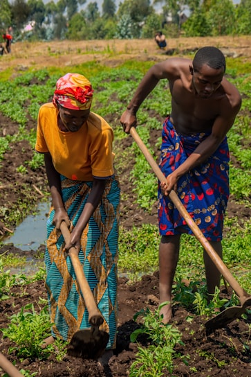 Two people are farming in a field, using hoes to work the soil. They are wearing colorful clothing, with one person in an orange shirt and patterned skirt, and the other in a patterned wrap. A lush green landscape with trees is visible in the background.