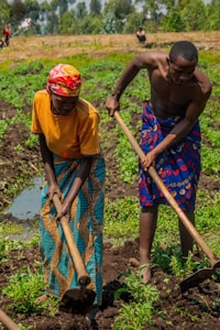 Two people are farming in a field, using hoes to work the soil. They are wearing colorful clothing, with one person in an orange shirt and patterned skirt, and the other in a patterned wrap. A lush green landscape with trees is visible in the background.