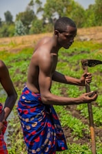 A person is working in a field, dressed in a colorful garment with a blue base and red and yellow patterns. They are holding a farming tool and examining soil or vegetation, with a backdrop of green vegetation and a sunny sky.