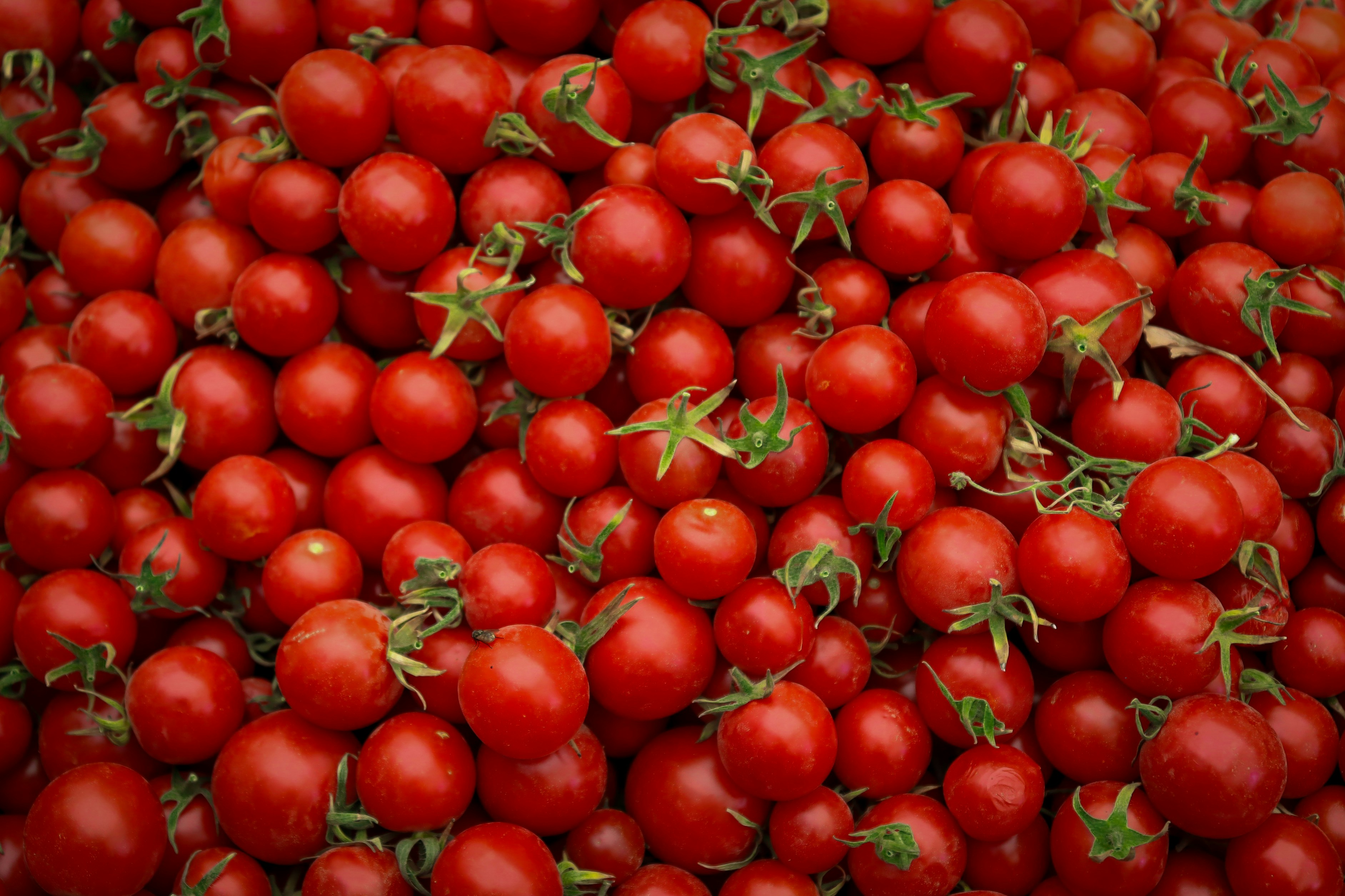 Photo by mahboobehsob