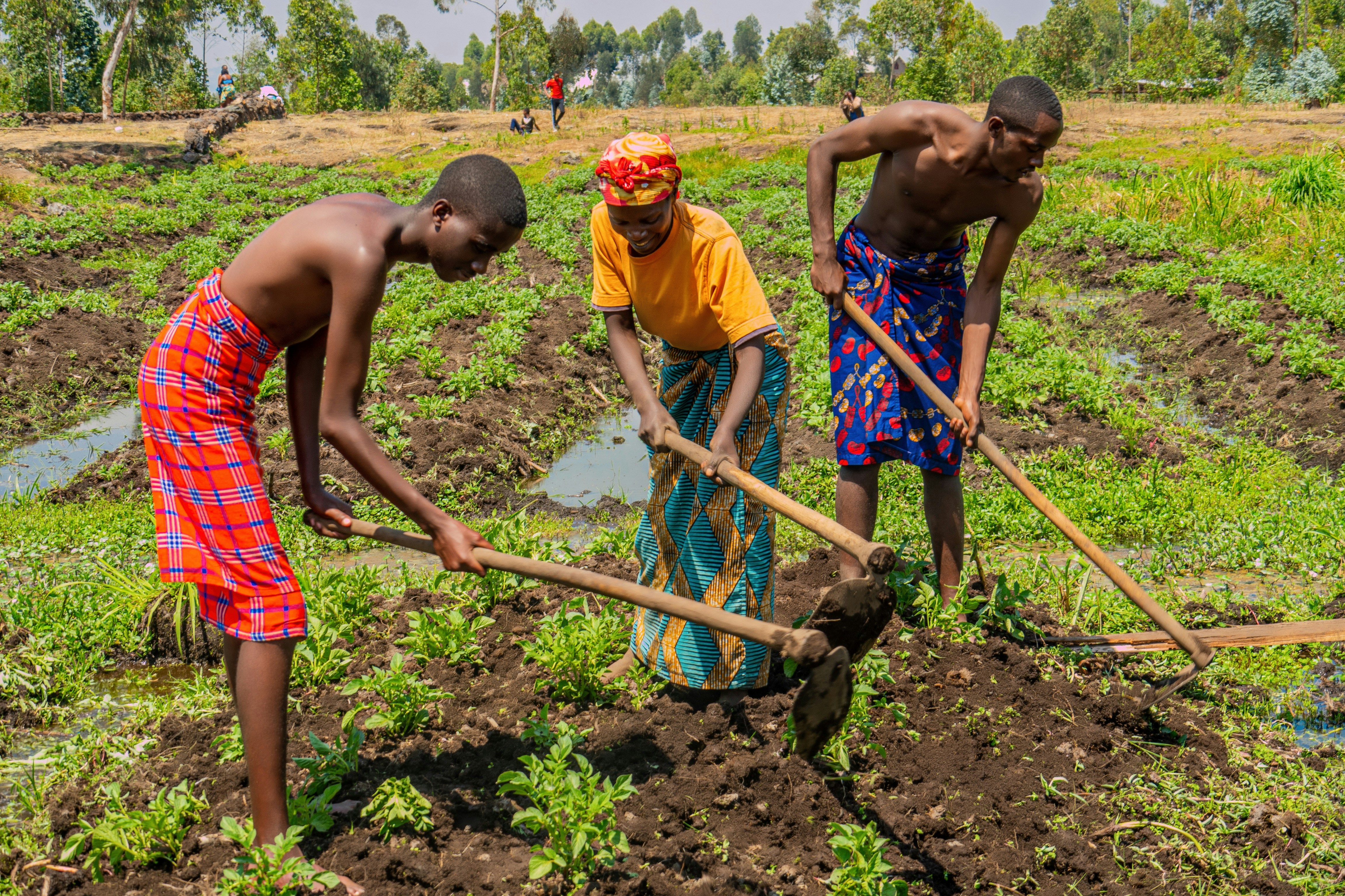 12 Indigenous Models: Which is Best for Maharashtra Agriculture?