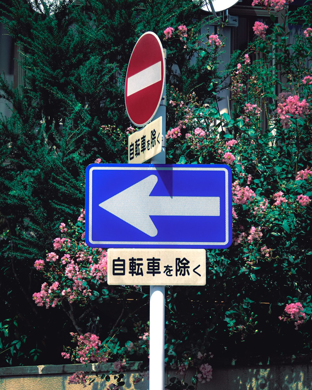 a street sign with an arrow pointing to the left