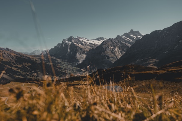 A stunning landscape photograph capturing the beauty of nature.
